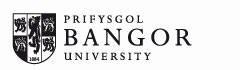 Bangor University Logo - return to the University Homepage